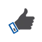 Success Icon